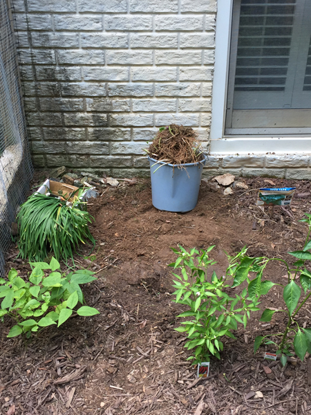 After: Chives gone! Reclaiming my garden ... for now.