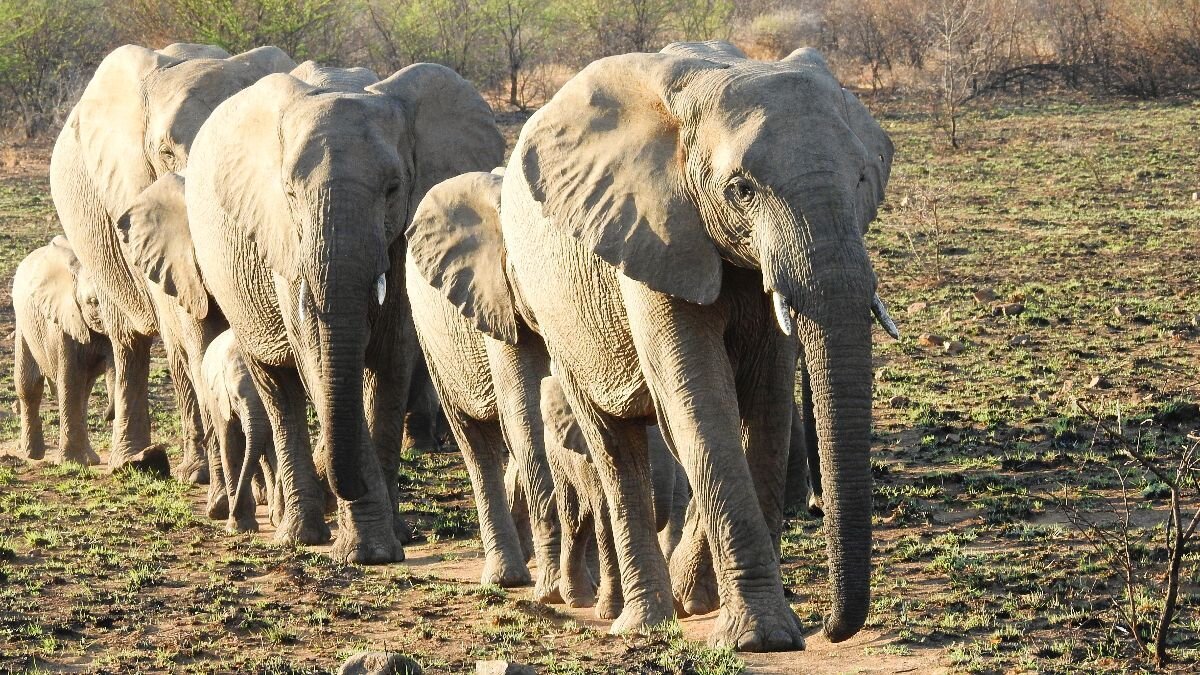 Walking together into the new decade