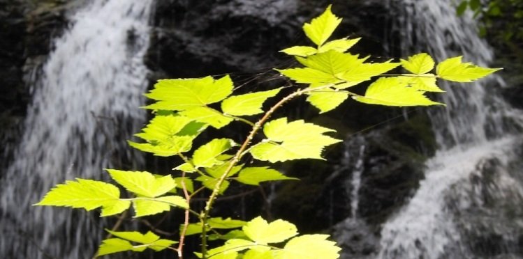 Beautiful Poems by David Whyte