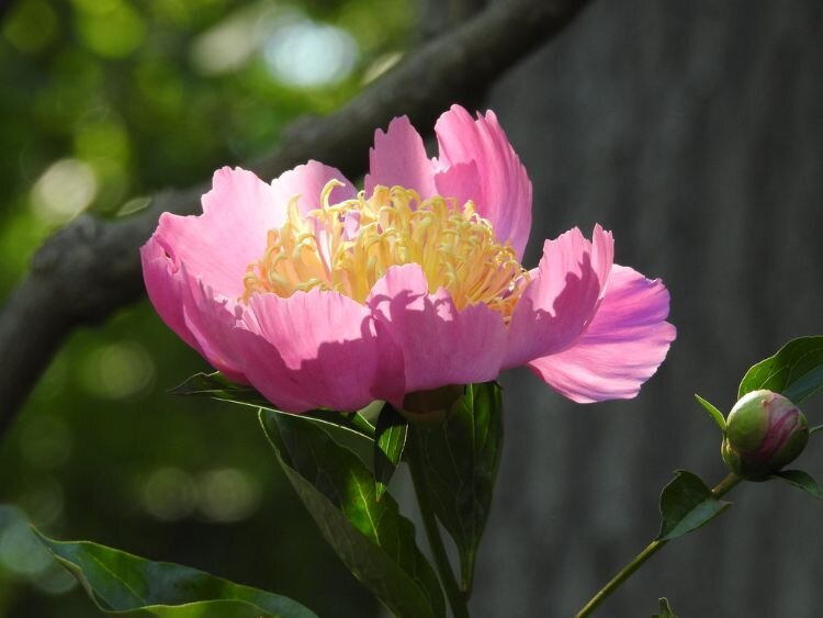 Learning to acknowledge the goodness within yourself