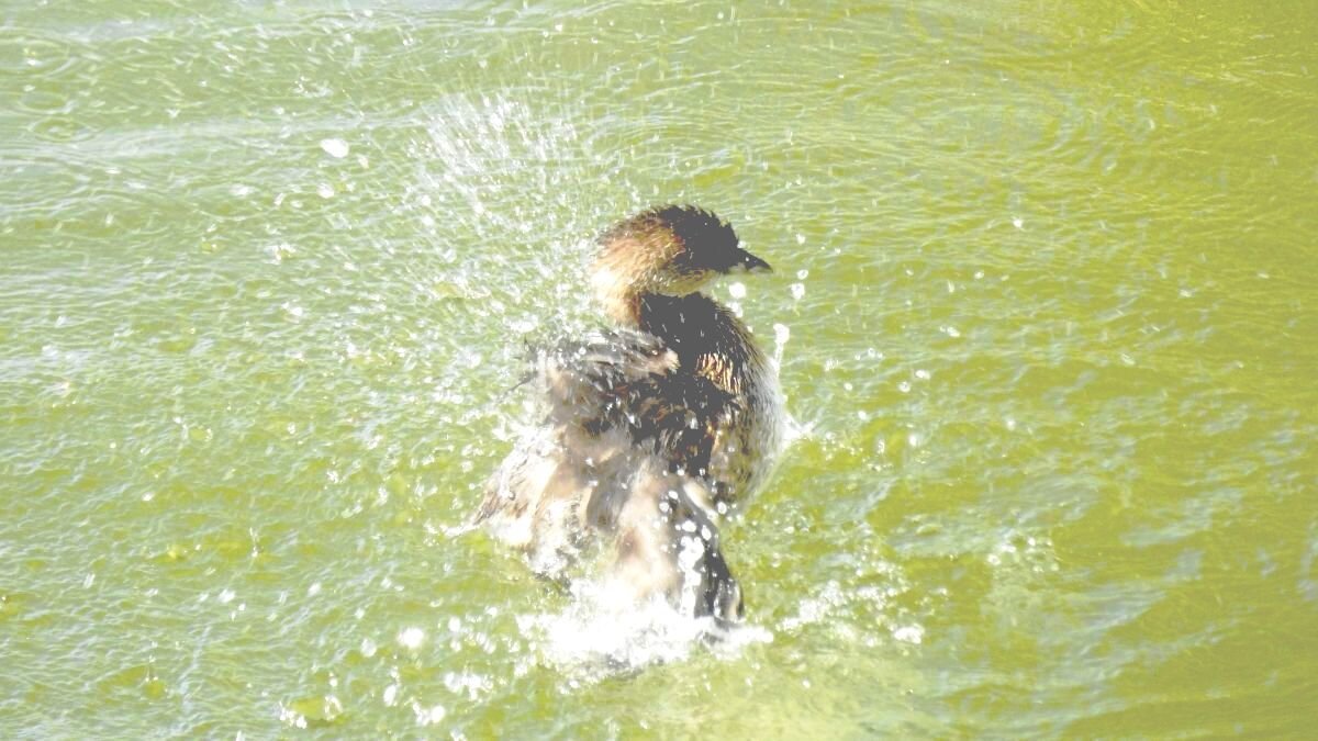 Just treading water!