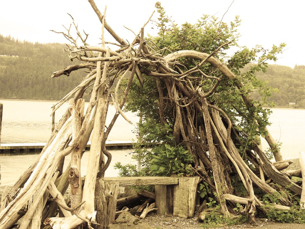A place for discovery beneath the tangled setting