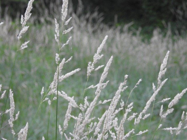 1777eea5-2e22-42a5-9045-536ecdbab096.jpeg