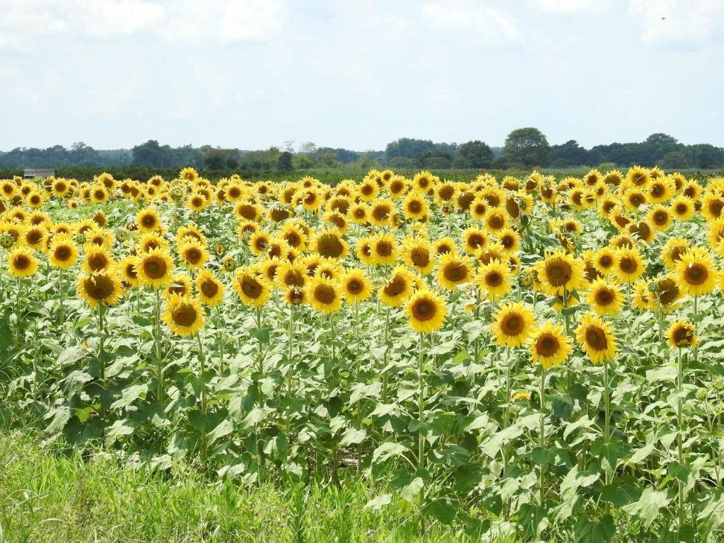 DSCN2170.JPG