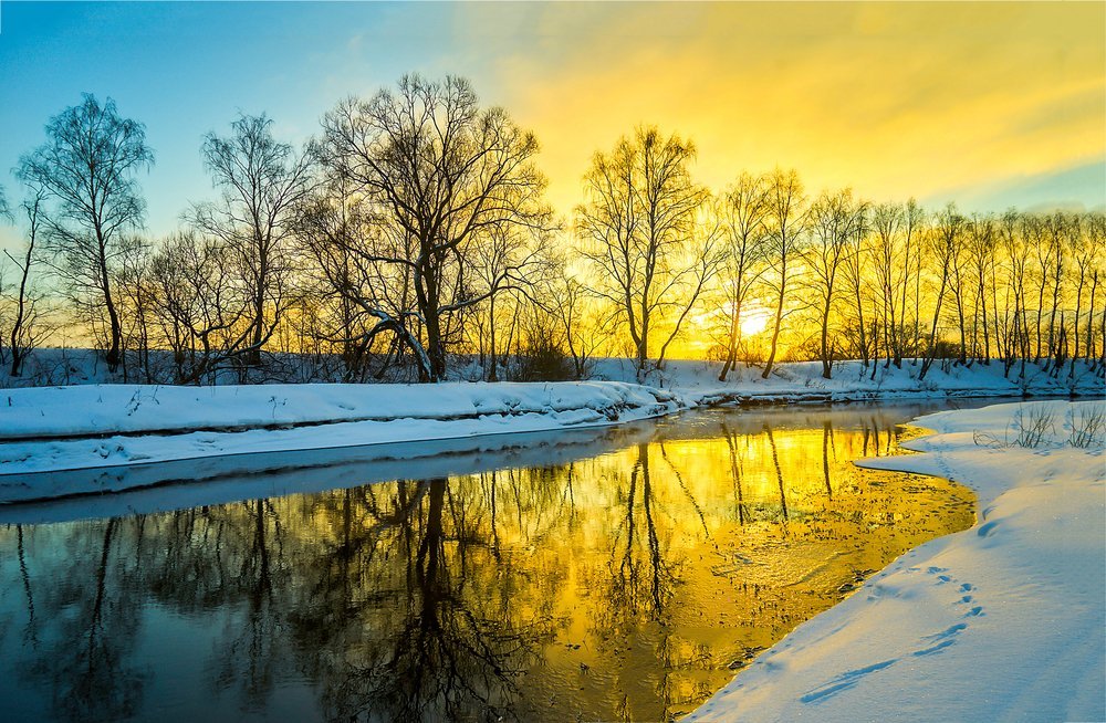 shutterstock_1729017415.jpg