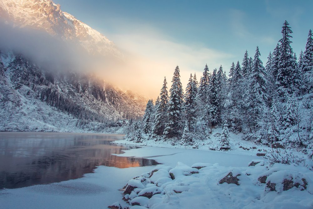 shutterstock_1902879613.jpg