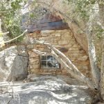 The House at Joshua Tree National Park
